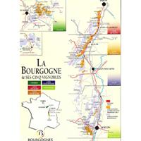 美食记产区探索之三：勃艮第（Bourgogne）村级白