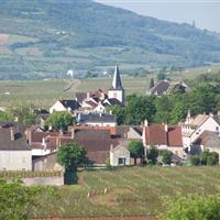 Chassagne Montrachet