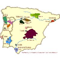 西班牙探索小桌活动（8月7日星期二）