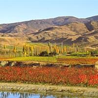 New Zealand wine dinner with Mount Difficulty & Martinborough Vineyard @ Jean Georges, 788 RMB