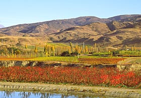 New Zealand wine dinner with Mount Difficulty & Martinborough Vineyard @ Jean Georges, 788 RMB