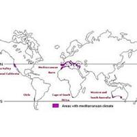 美食记小桌探索--地中海气候产区（Wine regions with Mediterranean climates），迎新春马年第一场小桌