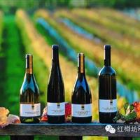 【红樽坊 X 藏乐坊】鲁道夫酒庄晚宴——尊享最优秀的新西兰佳酿 Neudorf Wine Dinner
