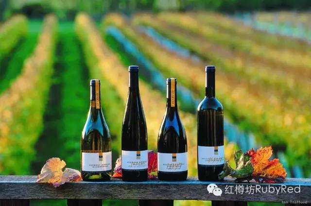 【红樽坊 X 藏乐坊】鲁道夫酒庄晚宴——尊享最优秀的新西兰佳酿 Neudorf Wine Dinner
