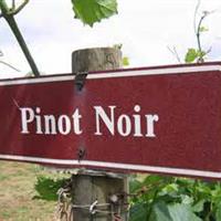 美食记葡萄品种探索（五十八）Pinot Noir 典型产区的黑皮诺（10月21日星期三晚）