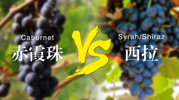 臻酒汇邀您10月15号周四微醺--赤霞珠VS.西拉