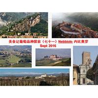 美食记葡萄品种探索（七十一）Nebbiolo 内比奥罗 (Value Wine Tasting)