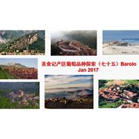 美食记产区和葡萄品种探索（七十五）巴罗洛 Barolo