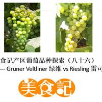 美食记产区品种探索（八十六）Gruner Veltliner 绿维 vs Riesling 雷司令