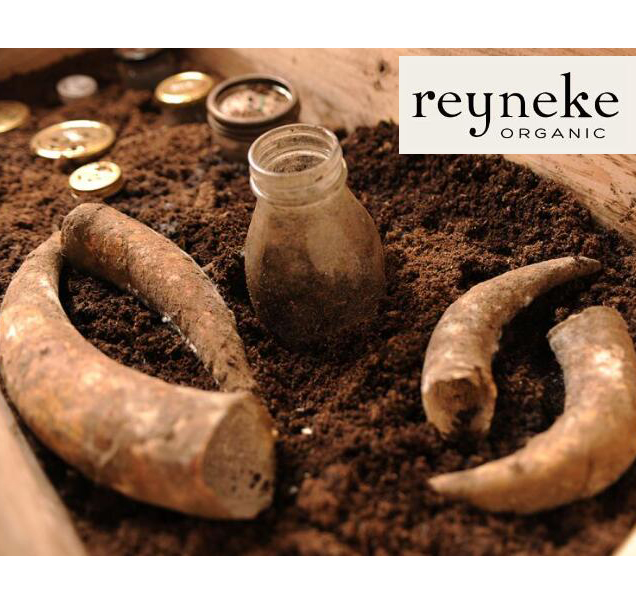 南非自然酒（有机、生物动力法、真实的酒）的代表名庄Reyneke品鉴