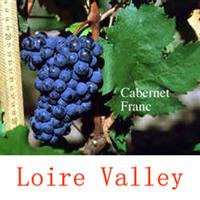 美食记产区和葡萄品种探索(109) ----卢瓦河谷Loire Valley的品丽珠Cabernet Franc（于连小局)