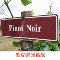 美食记产区和葡萄品种探索(114） ---- 黑皮诺Pinot Noir的挑战