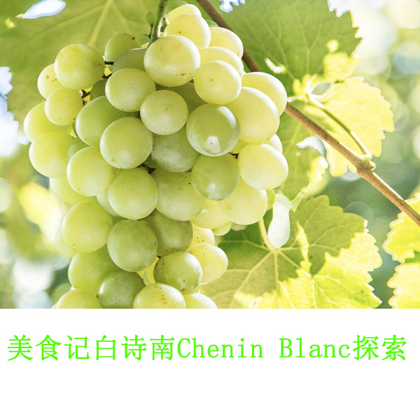 美食记产区和葡萄品种探索（131）-- 黑土地上的白诗南Chenin Blanc（于连小局）