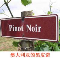 美食记产区和葡萄品种探索（130）--澳大利亚Pinot Noir黑皮诺