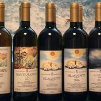 美食记产区和葡萄品种探索（155）-- 好喝的意大利自然酒，北部的Cascina Degli Ulivi和南部的Francesco Guccione