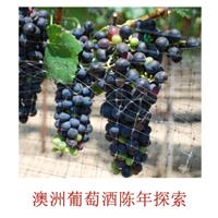 美食记产区品种探索（161）--- 陈年后的澳洲西拉Shiraz