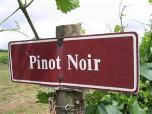 美食记产区和葡萄品种探索(172) ---- 春天里的Pinot Noir黑皮诺