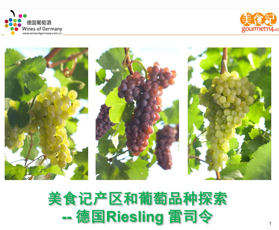 美食记产区和葡萄品种探索（180）------ 无Riesling不夏天之德国雷司令