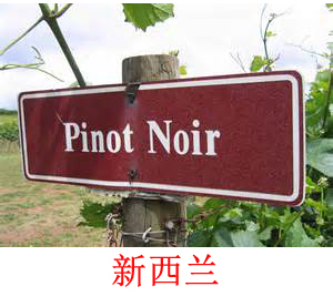 美食记产区和葡萄品种探索（187）-- 新西兰的黑皮诺Pinot Noir
