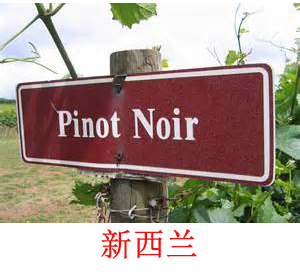 美食记产区和葡萄品种探索（195）-- 新西兰的黑皮诺Pinot Noir