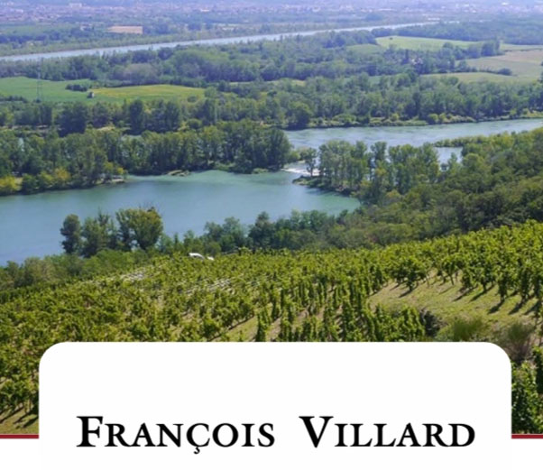 美食记葡萄品种探索（197）---- 北隆名家Francois Villard