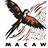 MacawCreek